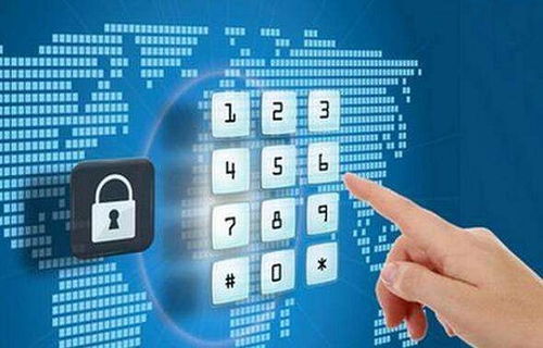 計算機軟件開發(fā)概述 軟件定義、分類及開發(fā)過程